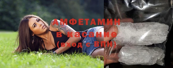 мет Алексин