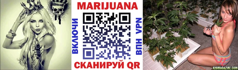 Каннабис планчик  Анапа 